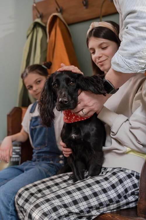 Sans danger pour les animaux